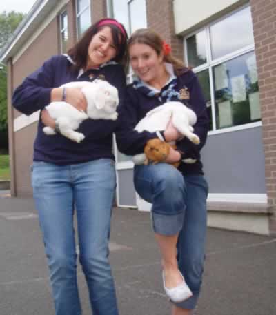Guides with Rabbits
